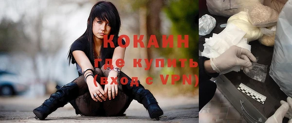мяу мяу кристалл Няндома