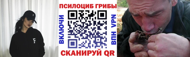 Псилоцибиновые грибы прущие грибы  Купить где  Фурманов 